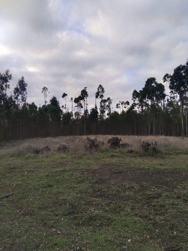 Terreno Con Casa