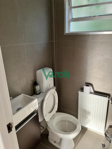 Imagen 8 de 30 de Venta Casa, Punta Carretas, Casi Golf, Ideal Empresa Reciclada A Nuevo!!!!
