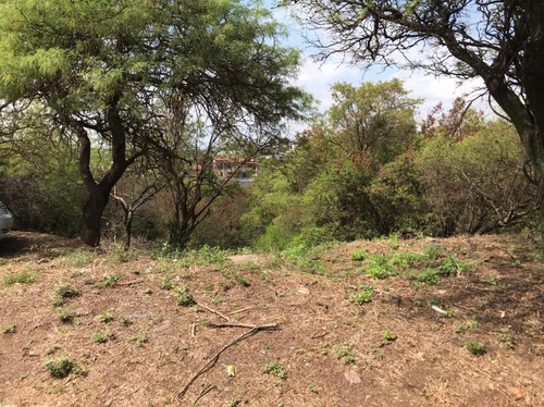 Imagen 9 de 12 de Terreno En Venta Cinco Lomas