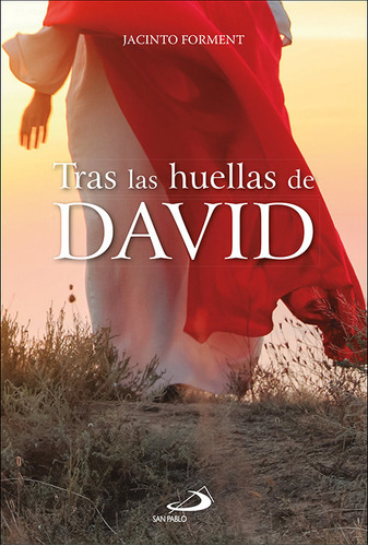 Libro Tras Las Huellas De David - Forment Costa, Jacinto