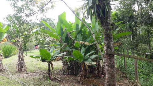 Imagem 13 de 15 de Sítio / Chácara Para Venda Em Paranaguá, Zona Rural, 6 Dormitórios, 3 Banheiros, 1 Vaga - 57_2-1158859