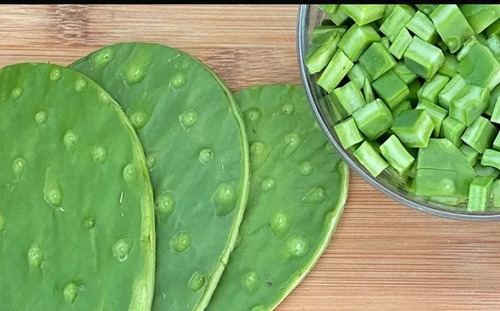 1000 Semillas De Nopal Mexicano 