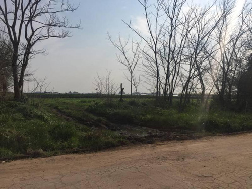 Campo En Venta. Los Hornos