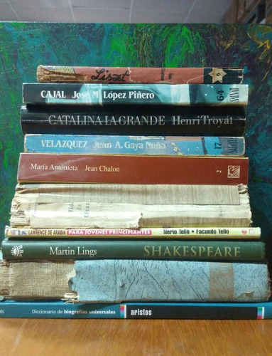  Shakespeare Troyat Y Otros / Lote 10 Libros Biografías