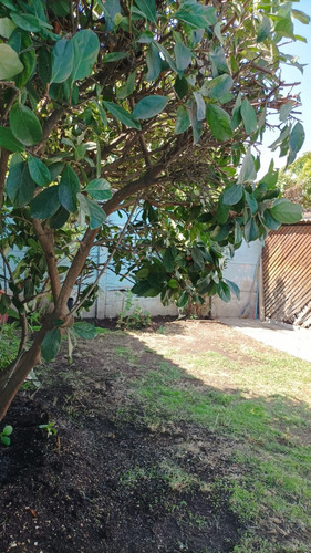 Oportunidad Venta Casa Para Remodelar Ñuñoa