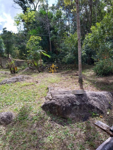 Imagem 21 de 30 de Chácara A Venda No Bairro Jaguatirica Em Campina Grande Do - 5825-1