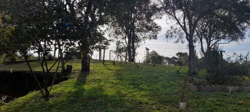 Imagem 22 de 29 de Fazenda À Venda Na Francisco Schena, Roseira, Campina Grande Do Sul - Pr - Liv-17183