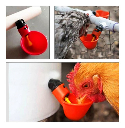 Bebedero Automático De Vasos De Agua De Pollo De 10 Piezas,