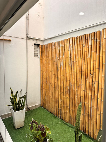 Departamento 3 Ambientes Colegiales Alquiler