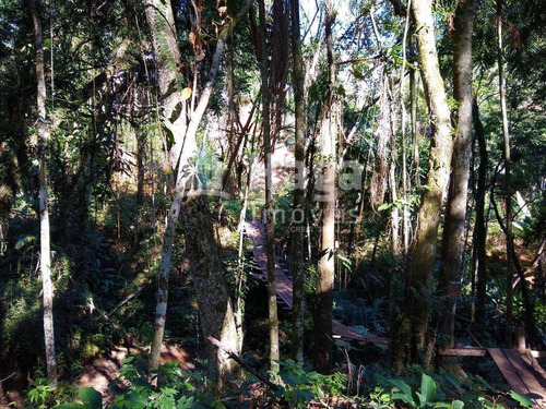 Imagem 28 de 30 de Chácara À Venda No Bairro Águas Claras - Brusque/sc - 1493c