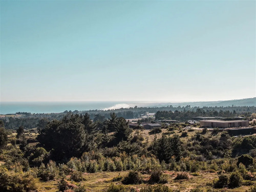 Terreno De 5.000m2 En Pangal, Con Vista Ak Mar Urbanizado