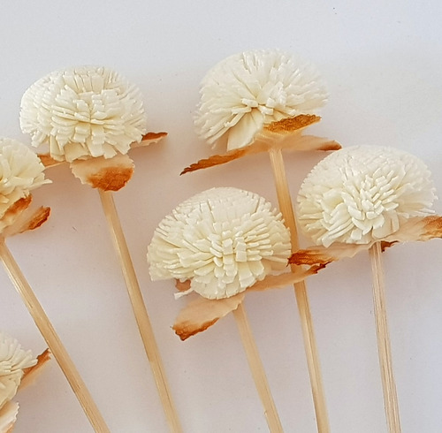 Varillas Difusores Rattan Fantasía 12 Unidades Crisantemo