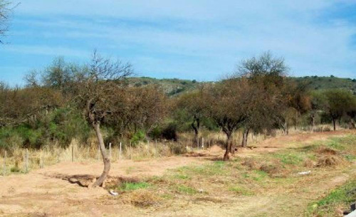 Campos O Chacras Venta Villa Cura Brochero