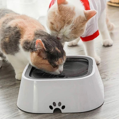 Bebedouro Pet Sem Tomada Anti-respingo Cães E Gatos