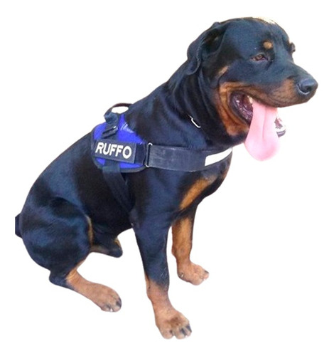 Arnes Personalizado Rottweiler Marca Breeder