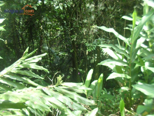 Imagem 10 de 12 de Terreno Ideal Para Chácara À Venda, 1.387 M² - Estância Alto Da Serra (ouro Fino Paulista) - Ribeirão Pires/sp - Te0959