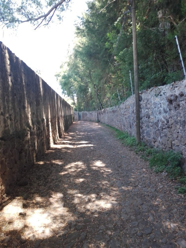 Imagen 14 de 15 de Venta De Terreno En Huasca De Ocampo