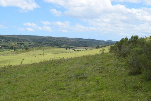 Imagen 13 de 20 de Venta Chacra Sierra Ruta 39 Aigua Sierra De Los Caracoles