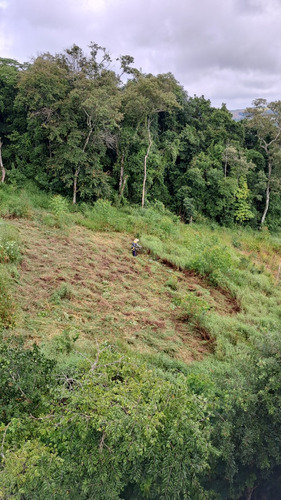 Terreno 1.000m2 Em Ibiuna 