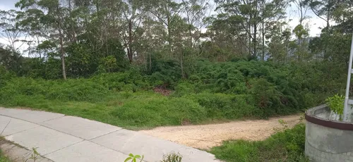 Terreno Sector Alto Fogón