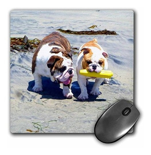 Mouse Pad English Bulldog Stroll