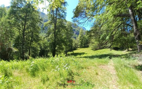 Parcelas En Venta En Curarrehue Desde 5000 Mt2