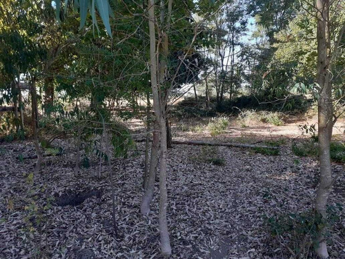 Imagen 9 de 19 de Terreno De 9 Ha En Ñiquen