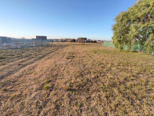 Imagen 2 de 11 de Venta Lote Interno De 937m2 - San Sebastian
