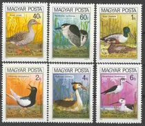 Comprar Estampillas Hungría 1980 - Aves Protegidas En Europa