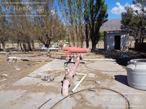 Campo En Venta De 300 Has Santa Maria, Catamarca