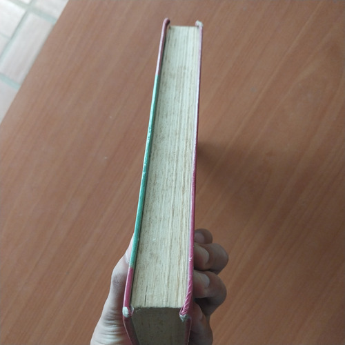 Libro Mi Hermana Frida Kahlo Bárbara Mujica Novela (Usado)
