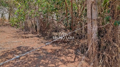 Imagem 7 de 8 de Lote À Venda Em Igarapé Bairro Cidade Nova - Te0003