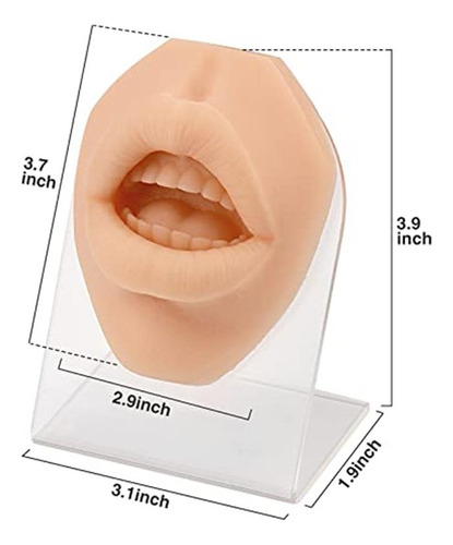 Modelo De Perforación De Labios De Silicón Suave Con Soporte