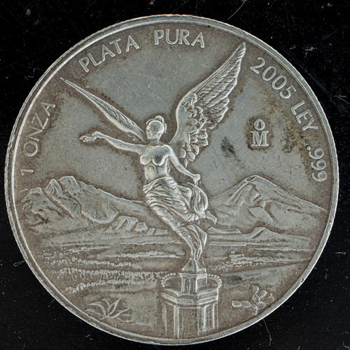 Moneda 1 Onza Libertad De Plata Ley .999 Año 2005