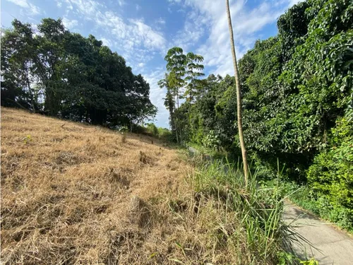 Lote En Venta Calarca- Vereda La Bella