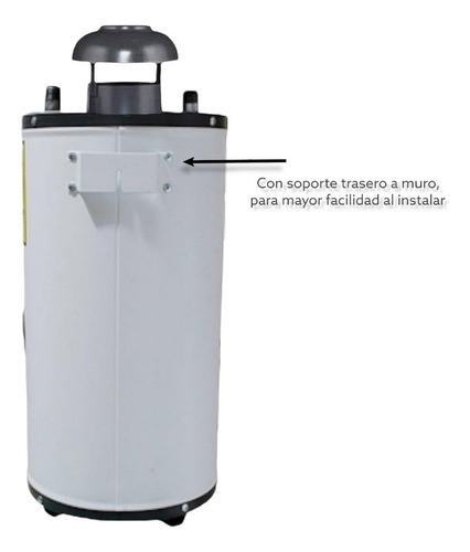 Calentador De Agua De Paso 6 L X Minuto Primo Plus Gas Lp