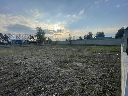 Hermoso Terreno Nivelado, Bien Delimitado, Y Pronto Para Edificar