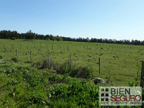 Chacra De 13.3 Has En Venta En Cerrillos