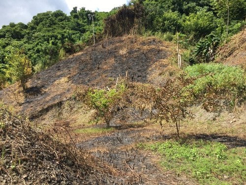 Imagen 6 de 16 de Vendo Terreno 15000m2 La Guaira Chuspa 4533