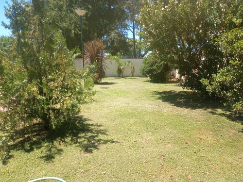 Alquiler Casa Quinta