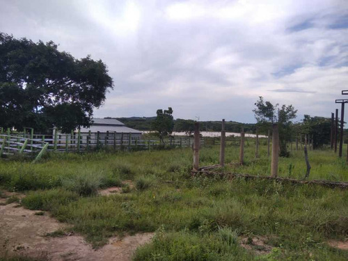Imagen 3 de 19 de Finca De 1.410 Has En Guarico Para Actividad Agropecuaria.