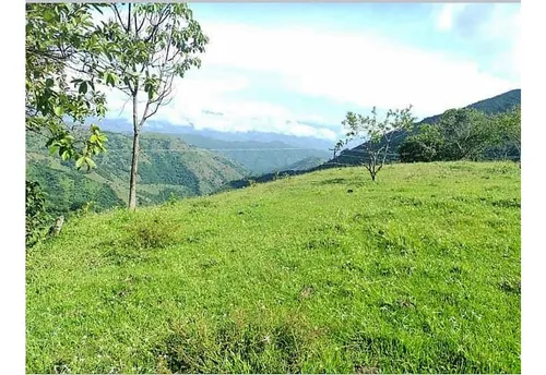 Lote En Venta En San Jerónimo