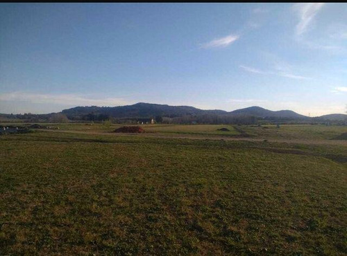 Imagen 4 de 6 de Terreno - Tandil