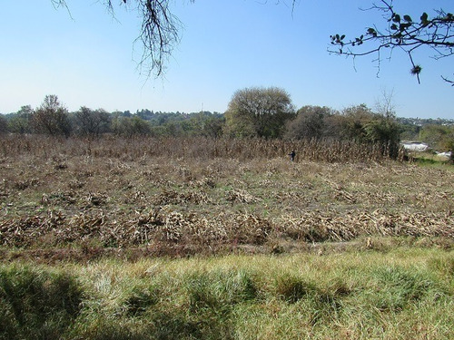 Imagen 12 de 29 de Terreno Plano En Santiago Cuautlalpan, Tepotzotlán, Estado De México