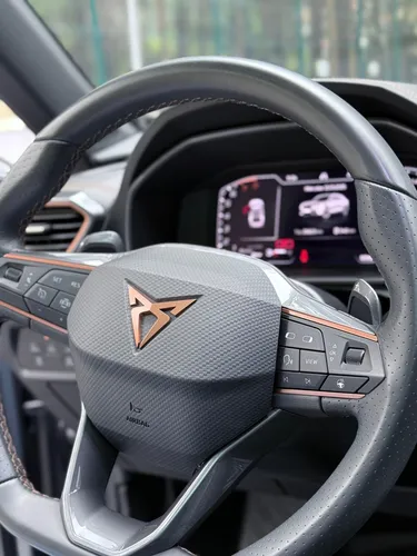 Cupra formentor 2.0 Tsi Mate Dsg
