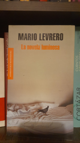 La Novela Luminosa, Mario Levrero
