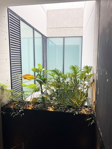 Imagen 8 de 10 de Estrena Departamento En Polanco!