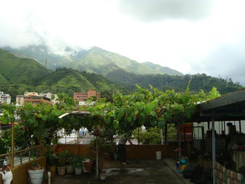 Los Chorros Edificio Comercial En Venta Mls #25-21914 Sl