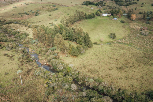 Imagen 5 de 15 de Oportunidad De Compra: Hermosa Chacra Con Casa, Ruta 39