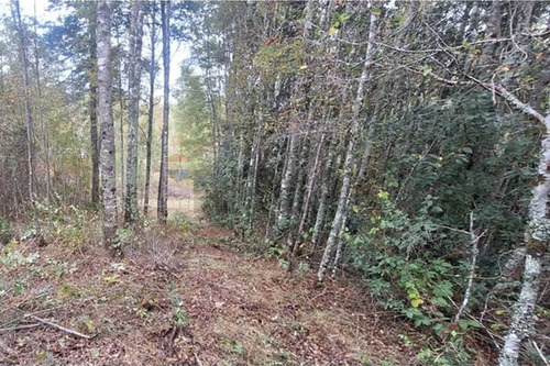 Venta De Terreno En Caburgua